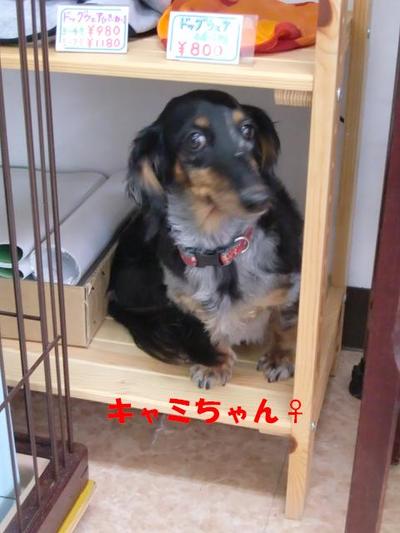 年末年始のお泊り会