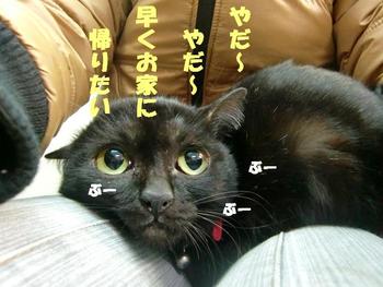 最初は恐い？