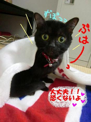 最初は恐い？