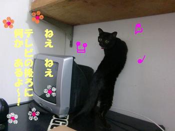 最初は恐い？