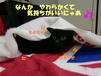 最初は恐い？