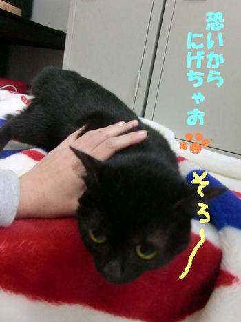 最初は恐い？