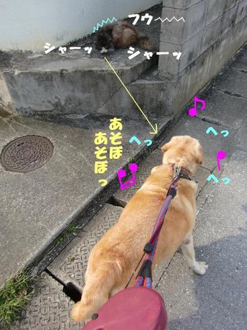 ギャング登場