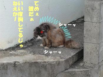 ギャング登場