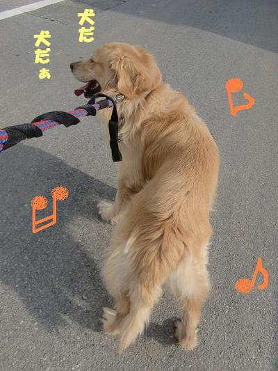 お散歩ＧＯ！ＧＯ！