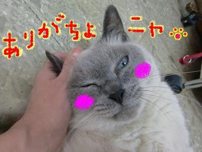 ゴッドハンドにメロメロ