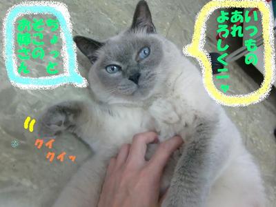 ゴッドハンドにメロメロ