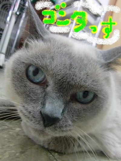 ゴッドハンドにメロメロ