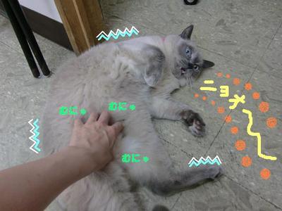 ゴッドハンドにメロメロ