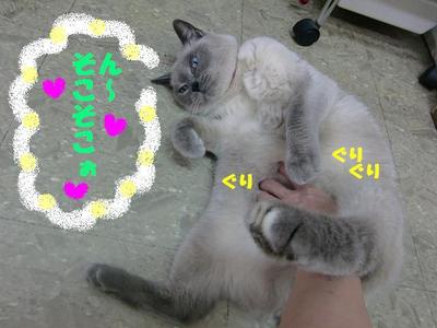 ゴッドハンドにメロメロ