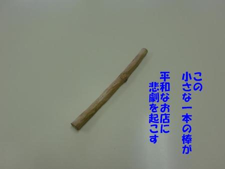 恐るべし『またたび』