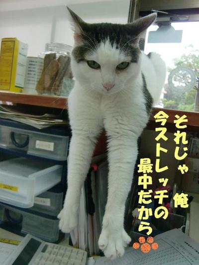 反省