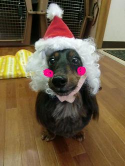 ジェイピーくんです♪♪