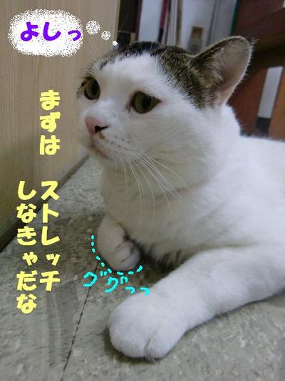 スーの準備運動