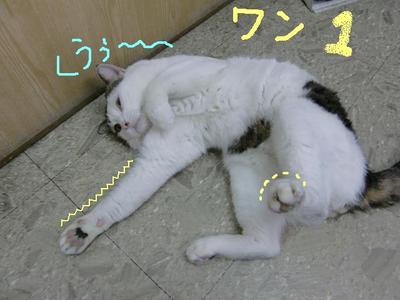 スーの準備運動