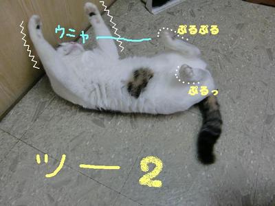 スーの準備運動