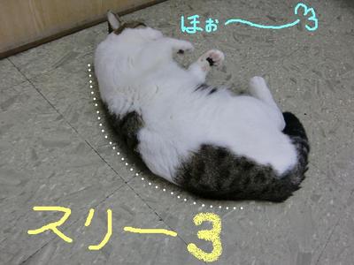スーの準備運動