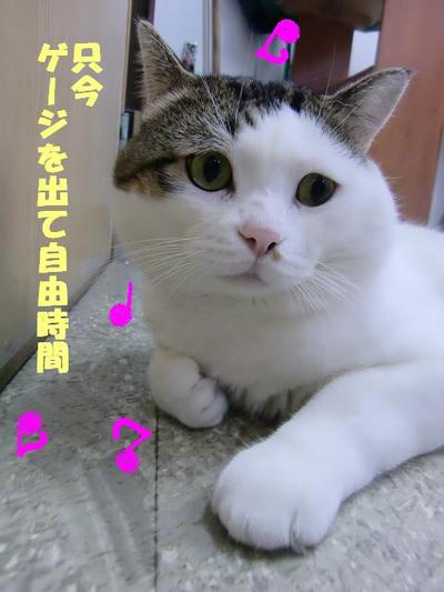 スーの準備運動
