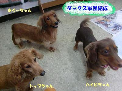 年末年始のお泊り会