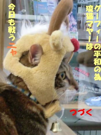 琉猫マヤー登場