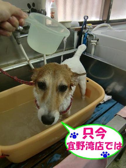 宜野湾店お徳情報