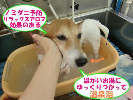 宜野湾店お徳情報