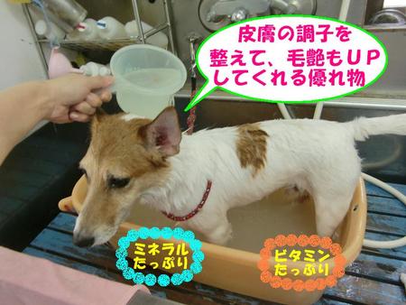 宜野湾店お徳情報