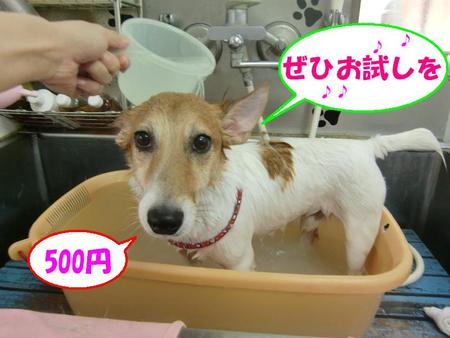 宜野湾店お徳情報