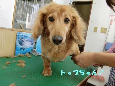 年末年始のお泊り会