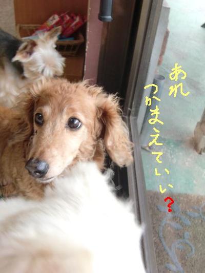 年末年始のお泊り会
