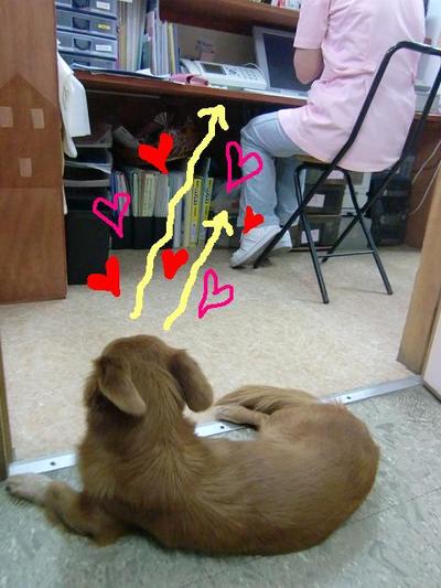 トトちゃん♪