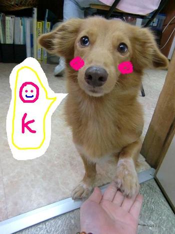 トトちゃん♪