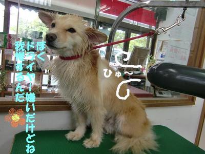 BOPPYくんの入浴