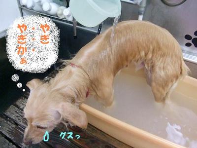 BOPPYくんの入浴