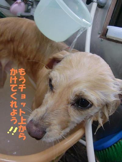 BOPPYくんの入浴