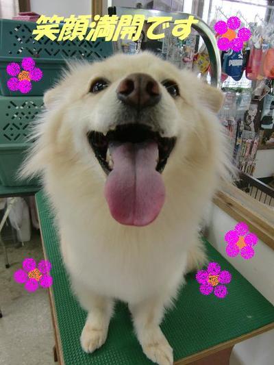 BOPPYくんの入浴