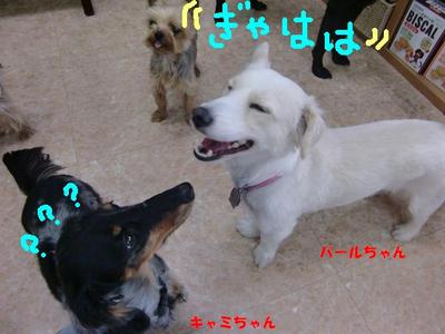 年末年始のお泊り会