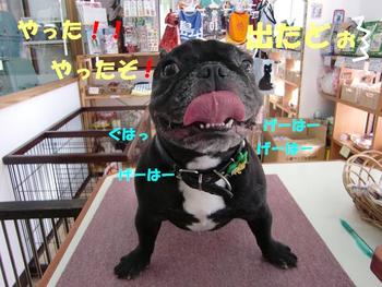 プリズンブレイクin宜野湾