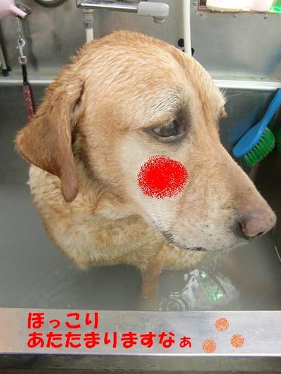 温泉体験