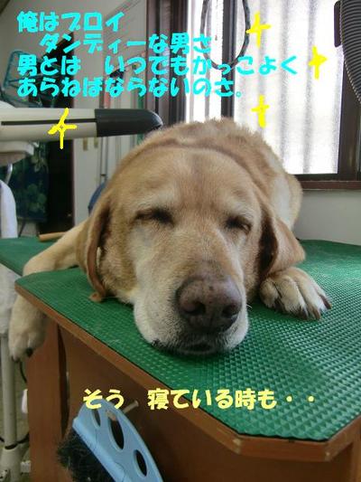 温泉体験