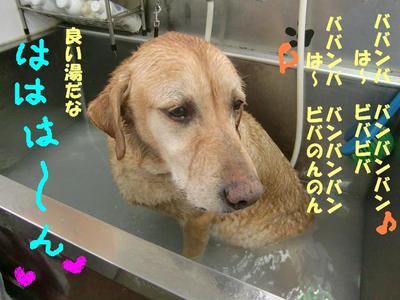 温泉体験