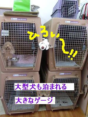 ペットホテルの御案内