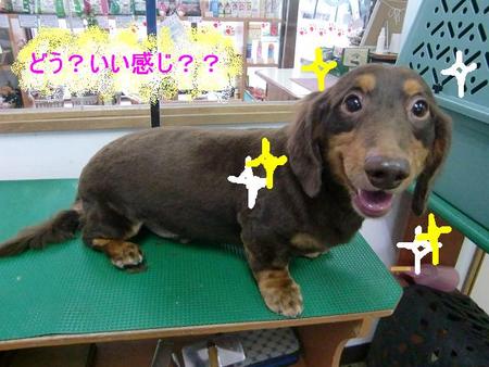 常連のマメタロウくん