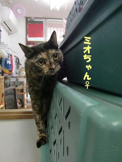 年末年始のお泊り会