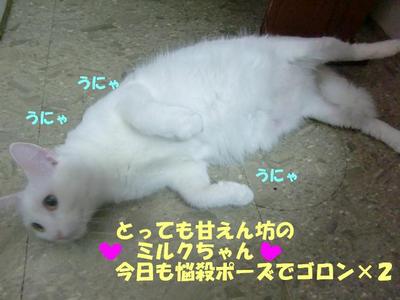興奮しちゃって・・・
