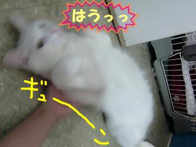 興奮しちゃって・・・