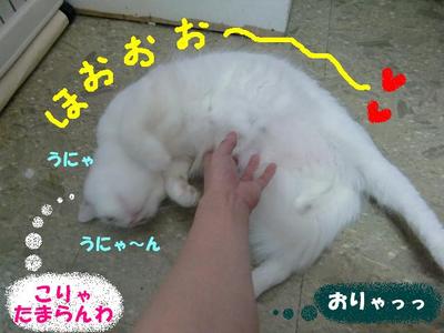 興奮しちゃって・・・