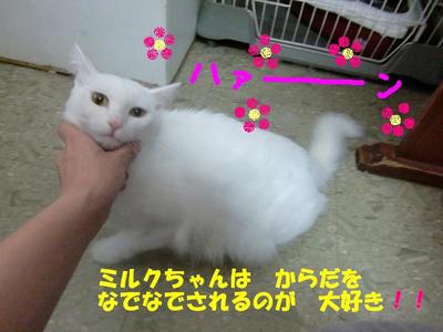 興奮しちゃって・・・