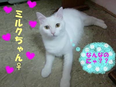 興奮しちゃって・・・
