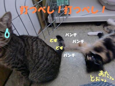 愛情が強すぎて・・・